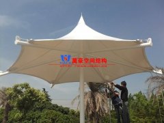 膜結(jié)構(gòu)形態(tài)有哪幾種？分別有哪些特點特征？